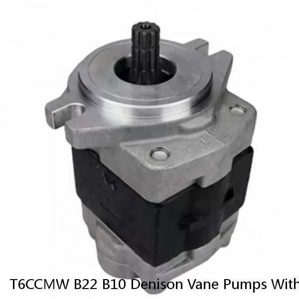 T6CCMW B22 B10 Denison Vane Pumps With Dowel Pin Vane Structure #1 image