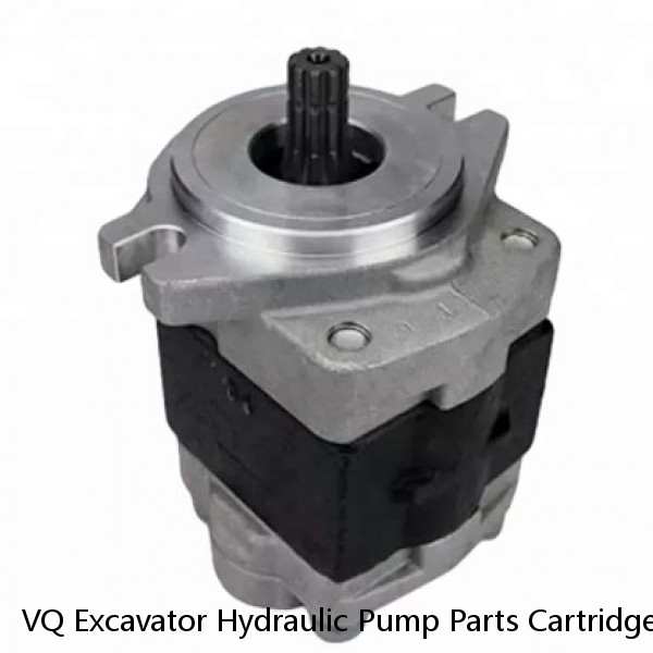 VQ Excavator Hydraulic Pump Parts Cartridge Kit #1 image