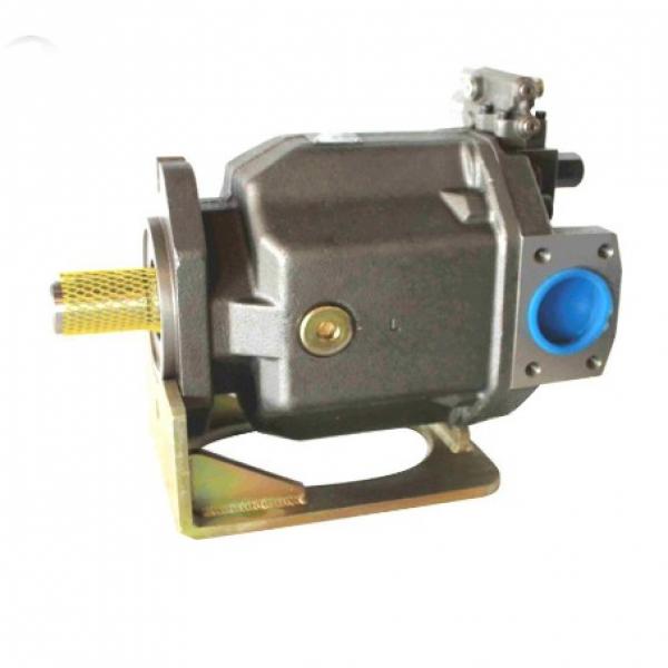 PAKER 50T-17-FR-1 Piston Pump #2 image